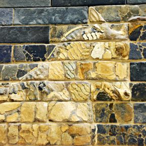 Livestock are taking the limelight in global policymaking&nbsp;fora