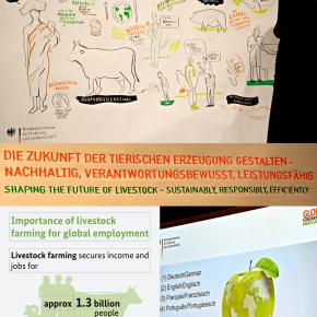 Towards a sustainable, responsible and efficient livestock sector—Jimmy Smith at the Berlin Global Forum for Food and&nbsp;Agriculture