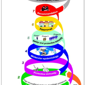 ‘Living tools’ at the frontier of vaccine development—A Keystone Symposium workshop by Vish&nbsp;Nene