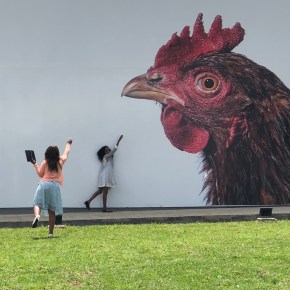 Art underlines the precious value of poultry genetic&nbsp;research