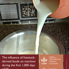 Meat, milk, eggs can make a big difference in the first 1,000 days of life in low-income countries—New&nbsp;report
