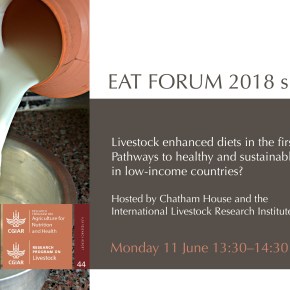 Can livestock-enhanced diets of the poor in the first 1,000 days of life lead to healthy and sustainable&nbsp;futures?