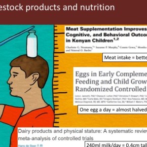 Livestock-enhanced diets in the first 1,000 days of life: Pathways to better futures in low-income&nbsp;countries