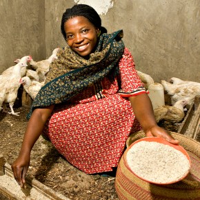 The Women’s Empowerment in Livestock Index: Indicators for the start of a global, badly needed,&nbsp;conversation