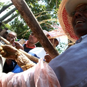 Research spurs increases in milk production, productivity and sale in&nbsp;Ethiopia