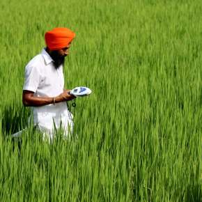 How changing the world’s food systems can help to protect the&nbsp;planet