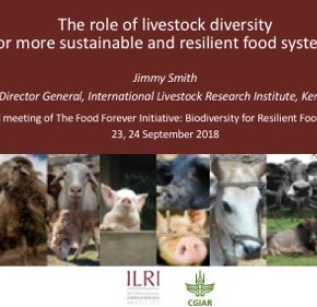 ILRI’s Jimmy Smith on farm animal diversity for more sustainable and resilient global food&nbsp;systems