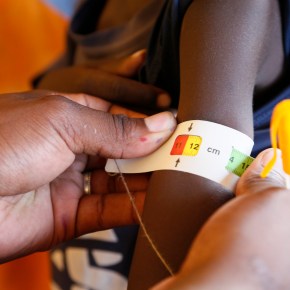 A new project promises to generate better dietary and health data for agriculture and nutrition interventions in&nbsp;Africa