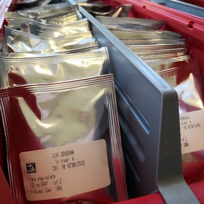 Thirty per cent of ILRI gene bank collections now safely duplicated at the global seed vault in&nbsp;Norway