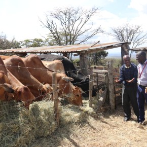 Senior Myanmar livestock official visits ILRI’s Nairobi headquarter to discuss possible research&nbsp;partnerships