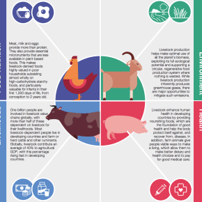 Livestock’s future: An opportunity not a&nbsp;threat