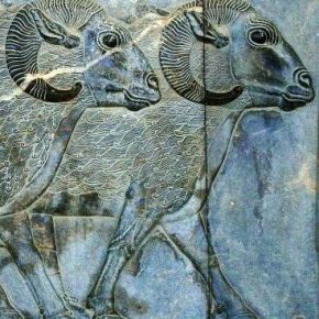 Expanding livestock production in Asia and Africa key to environmental as well as human welfare gains—New&nbsp;study