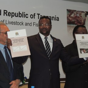 Tanzania launches USD596 million livestock master&nbsp;plan