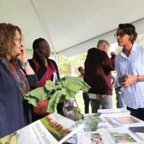 Greater than the sum of its parts – highlighting how CGIAR is working as&nbsp;one