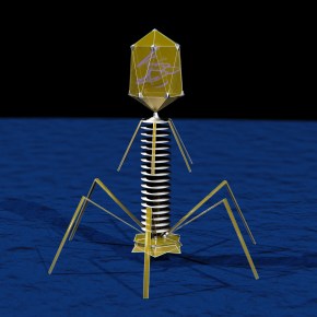 The role of phages: A fight against antibiotic resistance in poultry farms in&nbsp;Kenya