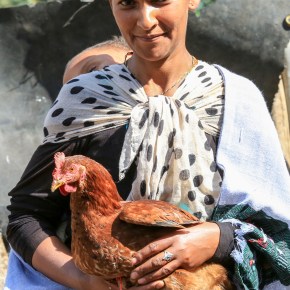 One question, two answers: What happens when different methodologies produce different&nbsp;results?