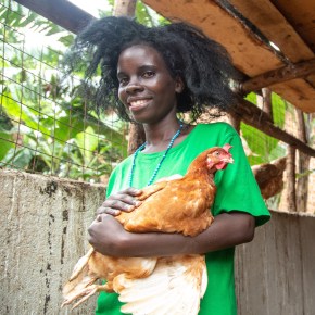 Reducing antimicrobial use in Uganda’s poultry value chain – BuildUganda project aims to manage risks through tested&nbsp;interventions​