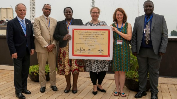 48084837443_57835903c7_o