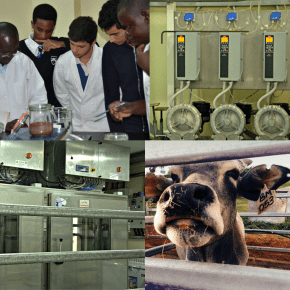 ILRI’s Jimmy Smith promotes ‘low-carbon’ and ‘climate-smart cows’ at the Africa Food Security Leadership Dialogue, in&nbsp;Rwanda