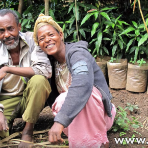 ThrowbackThursday Video—Misku and Gebremichael’s stories