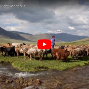 ‘Drylands and Rangelands: Harnessing Change’ at Global Landscapes Forum in New&nbsp;York