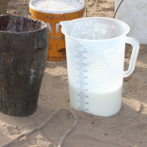 ILRI supports the United Nations’ ‘Decade of Action on Nutrition’,&nbsp;2016–2025