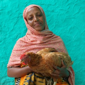 Towards sustainable food system transformations in the Global&nbsp;South