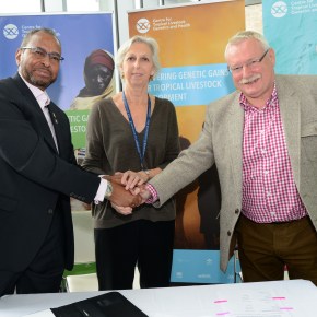 Centre for Tropical Livestock Genetics and Health celebrates five-year milestone and plans for its&nbsp;future
