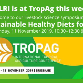 ILRI holds a livestock symposium at the International Tropical Agriculture Conference this&nbsp;week