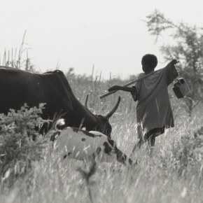 OneHealthDay is this Sunday: Join ILRI in collaborative work for healthier people, animals and&nbsp;lands