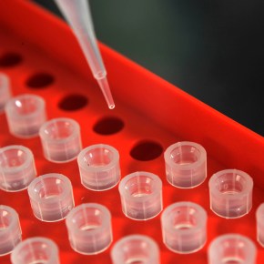 World Bank report says ‘AMR-smart’ solutions needed to beat superbugs and ensure a healthier&nbsp;future