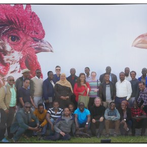 Building capacity of African researchers in genomics to play key role in boosting  productivity of livestock&nbsp;systems