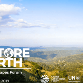 New York Global Landscapes Forum ‘Restore the Earth’&nbsp;2019