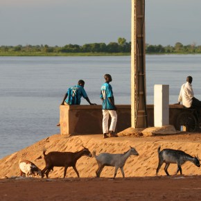 In Mali, an old vaccine can be a new way to fight&nbsp;poverty