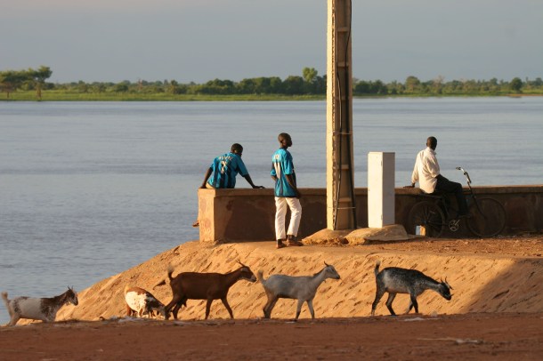 Fishermen, sahelian goats by the Niger river.