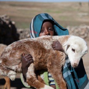 As United States marks January as ‘National One Health Awareness Month’, public, veterinary and environmental health in Africa is bolstered by the start of a new ‘One Health’&nbsp;centre