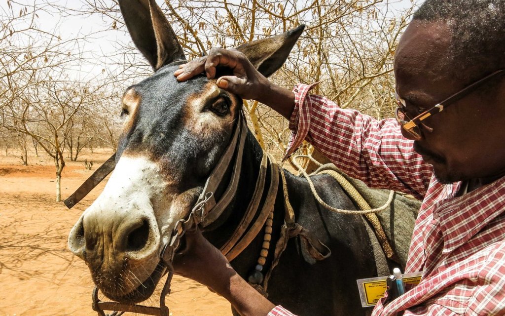 A person holding an animal

Description automatically generated
