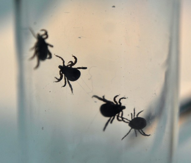 8994563778_9f55a05936_o