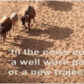 Livestock and sustainable development: Not so strange&nbsp;bedfellows