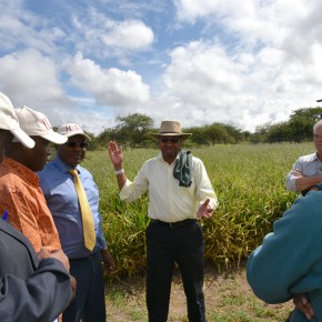 Senior Kenya government officials visit ILRI’s Kapiti Research&nbsp;Station