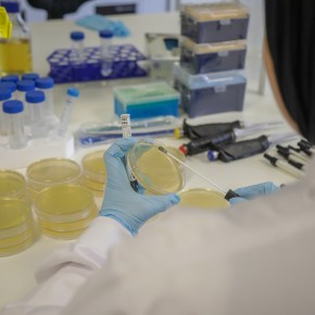 The straw that might break the camel’s back: exploring the link between COVID-19 and antibiotic resistance in low- and middle-income&nbsp;countries