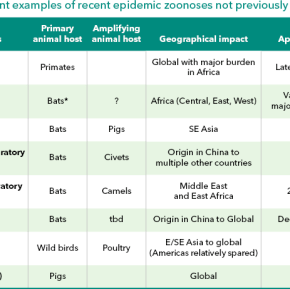 Africa’s growing risk of diseases that spread from animals to&nbsp;people