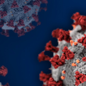 Global diagnosis – one health approach&nbsp;necessary