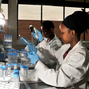 Diagnostic tests for COVID-19: How useful are&nbsp;they?