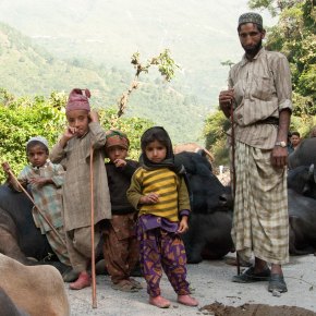 ILRI feed technology research platform makes more fodder available to developing-world livestock&nbsp;keepers