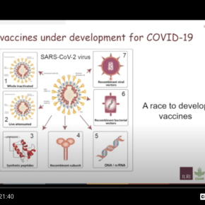The good and not-so-good news about the state of COVID-19 vaccine development: A primer from&nbsp;ILRI
