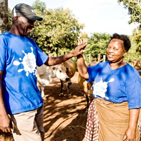 East African dairy under COVID-19: How is this vibrant sub-sector faring? Join us for a webinar 28&nbsp;May