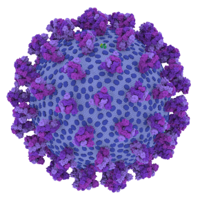 COVID-19 and the&nbsp;brain