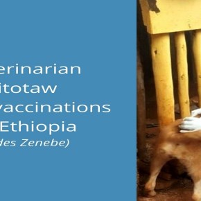 Woman veterinarian pioneers public-private partnership to improve veterinary service delivery in&nbsp;Ethiopia
