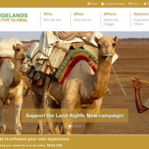 Happy World Environment&nbsp;Day!